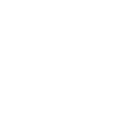 Bruno Jacquin Logo