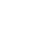 Bruno Jacquin Logo